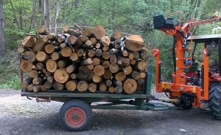 P.A.S. 350 with trailer